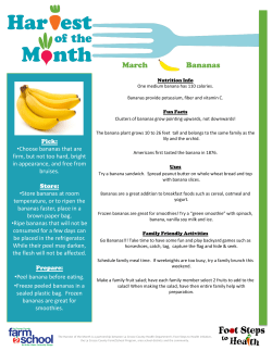 March Bananas - Get Active La Crosse