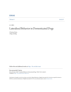 Lateralized Behavior in Domesticated Dogs