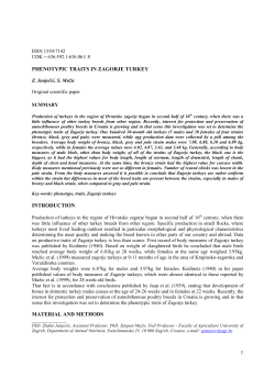 1 PHENOTYPIC TRAITS IN ZAGORJE TURKEY INTRODUCTION