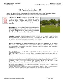 Ball Diamond Information &ndash; 2014