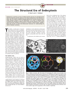 The Structural Era of Endocytosis