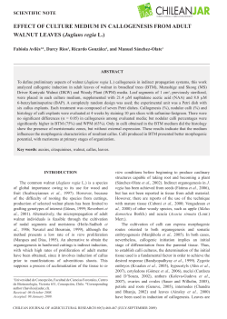 EFFECT OF CULTURE MEDIUM IN CALLOGENESIS FROM ADULT