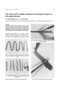 Swiss Roll Histology protocol - Weizmann Institute of Science