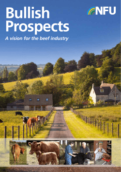 A Vision for the Beef Industry