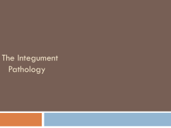 The Integument Pathology