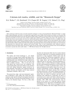 Calcium-rich tundra, wildlife, and the `Mammoth Steppea