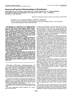 Structure/Function Relationships in Hexokinase