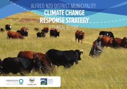 Read More - Conservation International