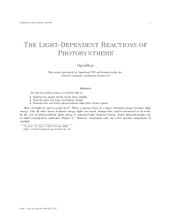 The Light-Dependent Reactions of Photosynthesis