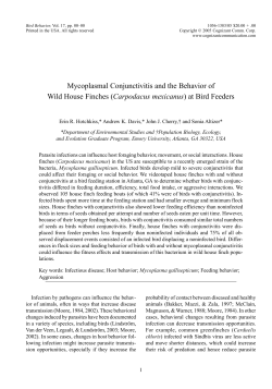 Mycoplasmal Conjunctivitis and the Behavior of Wild House Finches