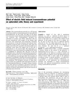 Effect of electric field induced transmembrane potential on
