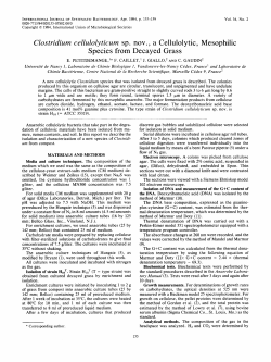 Clostridium cellulolyticum sp. nov. , a Cellulolytic, Mesophilic
