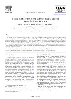 Fungal modification of the hydroxyl radical detector coumarin