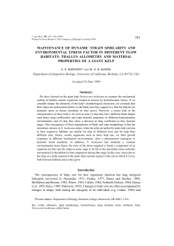381 maintenance of dynamic strain similarity and environmental