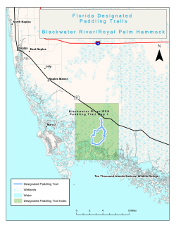 Blackwater/Royal Palm Hammock