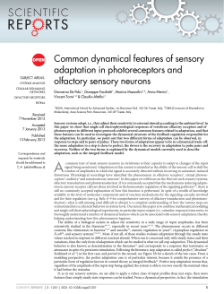 Common dynamical features of sensory adaptation in