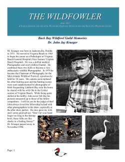 April 2017 - Atlantic Wildfowl Heritage Museum