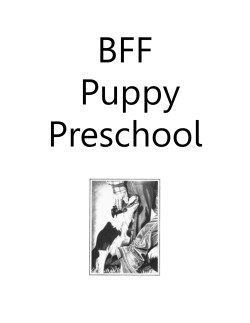 PPS Packet - BFF Dog Training LLC