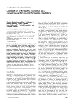 Localization of Sir2p: the nucleolus as a compartment for silent