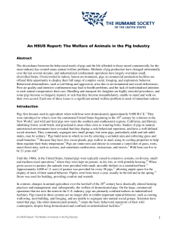 Animal Welfare in the Pig Industry