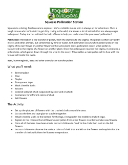 Squeaks Pollination Station