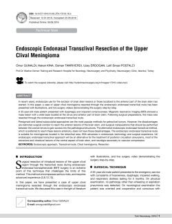 Endoscopic Endonasal Transclival Resection of the Upper Clival