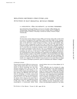 relations between structure and function in rat skeletal muscle fibers