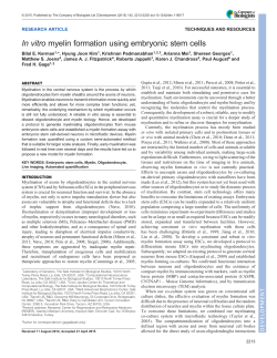 In vitro myelin formation using embryonic stem cells