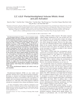 2,2!,4,6,6!-Pentachlorobiphenyl Induces Mitotic Arrest and p53