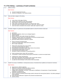 11.3 The kidney – summary of mark schemes