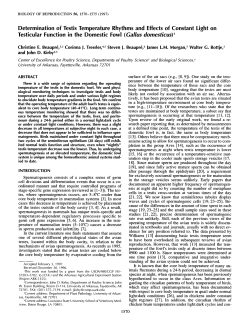 Determination of Testis Temperature Rhythms and Effects of