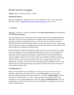 Sexual selection in guppies (PDF Available)
