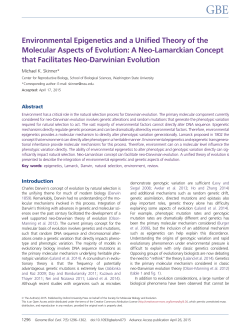 Environmental Epigenetics and a Unified Theory of the Molecular