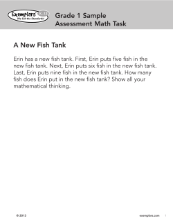 Grade 1 Sample Assessment Math Task A New Fish Tank