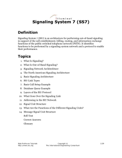 Signaling System 7 (SS7)