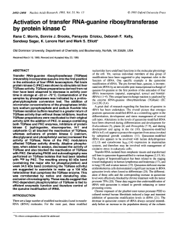 Activation of transfer RNA-guanine