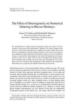(2006). The effect of heterogeneity on numerical ordering in rhesus