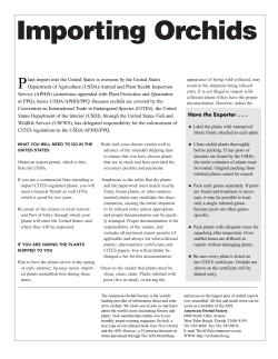 Importing Orchids