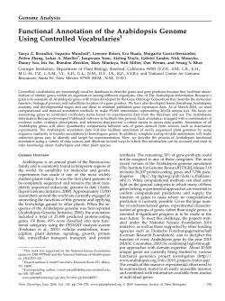 Functional Annotation of the Arabidopsis Genome