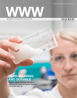 PDF | 1.4 MB - Wacker Chemie AG
