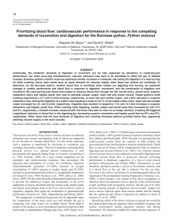 Prioritizing blood flow - Journal of Experimental Biology