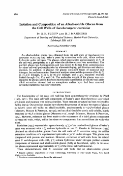 Isolation and Composition of an Alkali-soluble Glucan