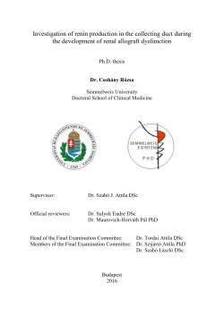 Investigation of renin production in the collecting duct during the