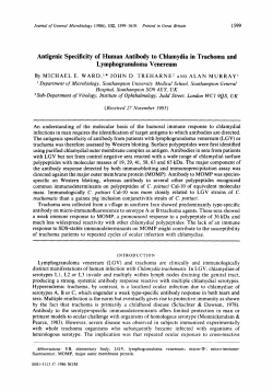 Antigenic Specificity of Human Antibody to Chlamydia