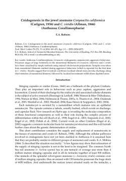 Zoologische Mededelingen 78-02