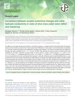 Correlations between morpho-anatomical changes and radial