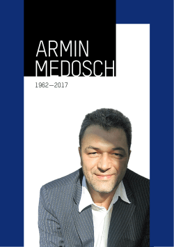 armin medosch - technopolitics