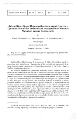 Adventitious Shoot Regeneration from Apple Leaves