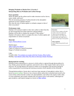 Photosynthesis and Carbon Storage