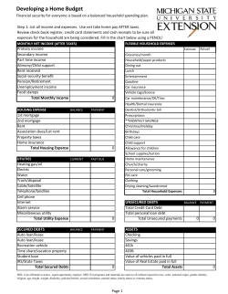 Developing a Home Budget